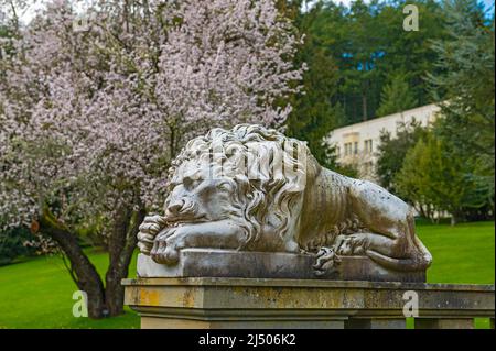 Gardens of Hatley Castle in the spring, located in Vancouver Island, British Columbia, Canada Stock Photo