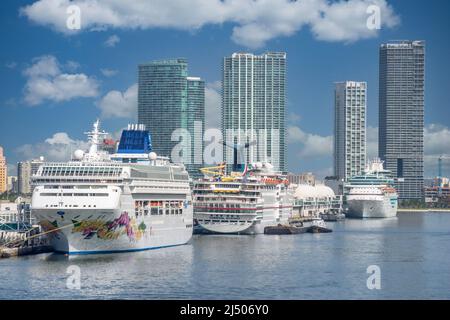 Three Caribbean cruise ships docked at the Port of Miami Cruise Terminal in Florida. Stock Photo