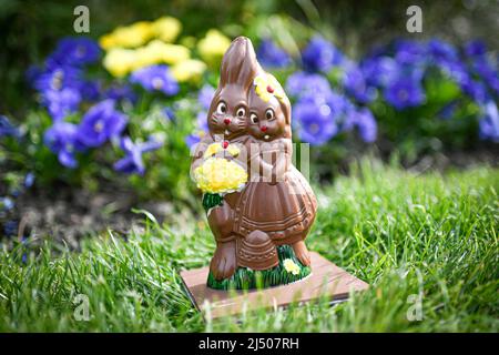 Illustration picture shows a milk chocolate Easter egg, a pair (couple) of bunnies lies in a garden among spring flowers during an Easter eggs hunt in Paris, France. Stock Photo