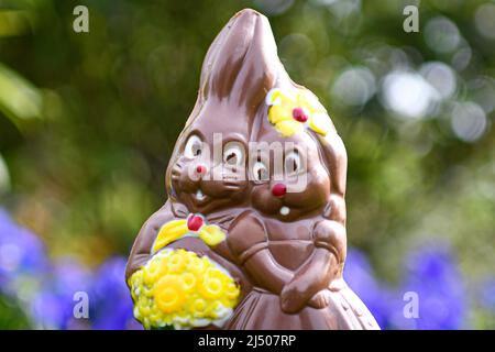 Illustration picture shows a milk chocolate Easter egg, a pair (couple) of bunnies lies in a garden among spring flowers during an Easter eggs hunt in Paris, France. Stock Photo
