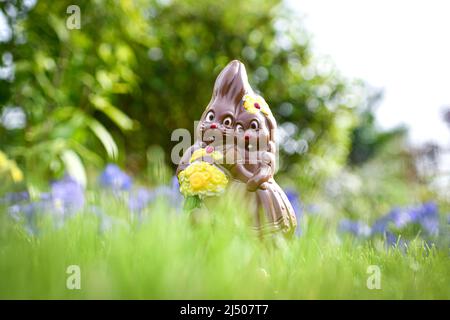 Illustration picture shows a milk chocolate Easter egg, a pair (couple) of bunnies lies in a garden among spring flowers during an Easter eggs hunt in Paris, France. Stock Photo