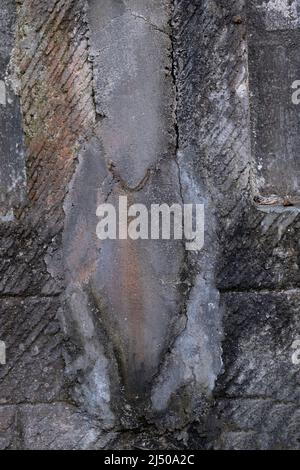 Old gray and gold colored concrete wall with deep crevices and mildew in Bali, Indonesia Stock Photo
