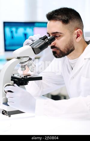 Young bearded man in lab coat and gloves looking at bacteria in microscope while sitting by his workplace in laboratory Stock Photo