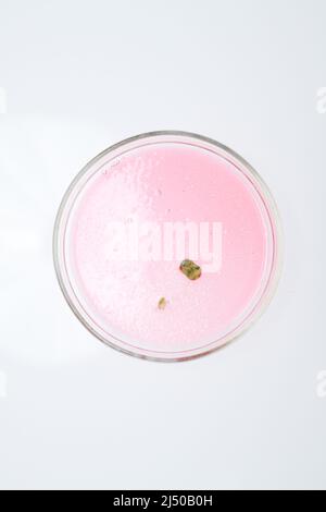 Above view of petri dish containing piece of mold grown in pink substance in chemical laboratory for new experiment Stock Photo