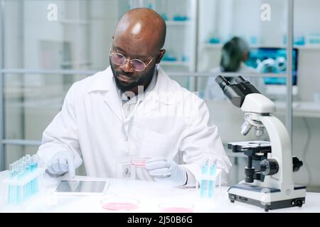 African American male scientist sitting by workplace in laboratory and scrolling in tablet while searching for online data Stock Photo