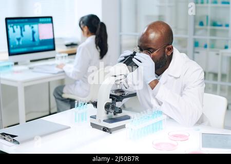 Young African American male researcher in whitecoat and gloves making scientific experiment while using microscope against female coworker Stock Photo