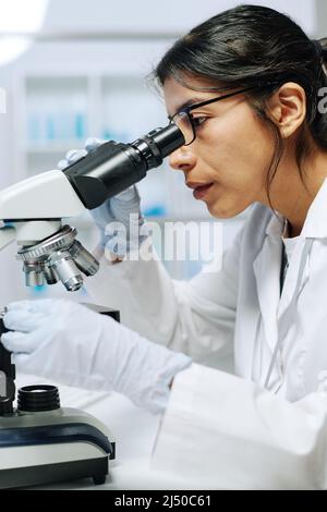 Young serious female microbiologist or virologist using microscope in laboratory while making scientific research or experiment Stock Photo