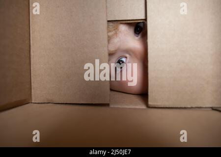 Excited child boy looking into the box, shipping cardboard box. Closeup eyes looking. Stock Photo