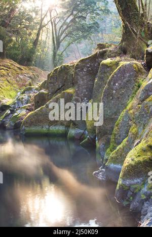 Kikuchi Gorge, early morning, Kumamoto Prefecture, Japan Stock Photo - Alamy