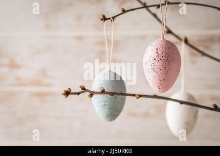 Three decorative easter eggs in pastel colors on branches, copy space Stock Photo