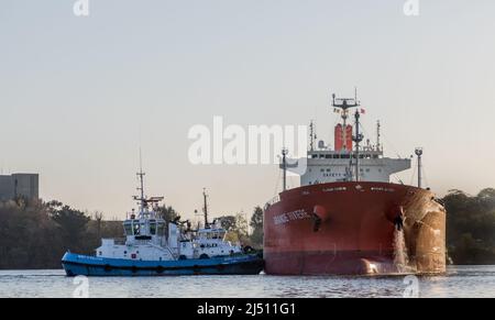 Cork Harbour, Cork, Ireland. 19th April, 2022. Tanker Grande Riviere with a cargo of Methanol is assisted by tug boats Gerry O' Sullivan and Alex to make a turing manoeuvre at the Belvelly Port Facility, Cork, Ireland. - Credit; David Creedon / Alamy Live News Stock Photo