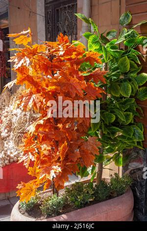 Two colorful artificial trees in pot. Red maple leaves and green. Vertical photo. Stock Photo