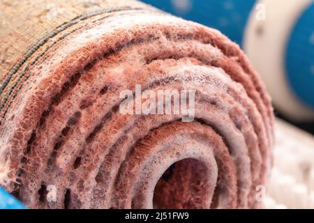 Carpet washing and cleaning. Rolled and washed carpet with foam Stock Photo
