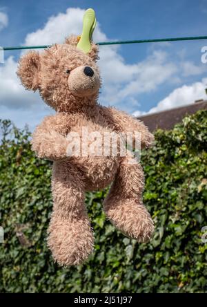 A brown teddy bear cuddly toy hanging on a washing line with a single peg, with a green hedge background Stock Photo