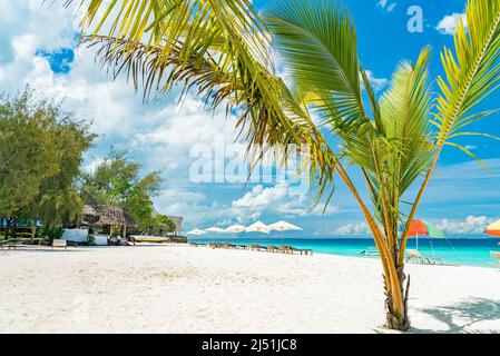 Beautiful green palm trees on the beach against the blue sunny sky with light clouds background. Tropical wind blow the palm leaves. Stock Photo