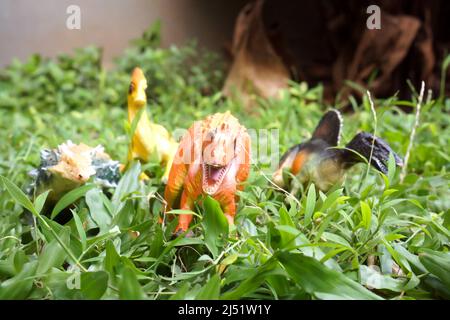 Dinosaurs toys, T-rex , Spinosaurus, Velocipraptor, Ankylosaurus Stock Photo