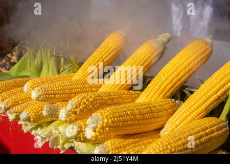 Fresh corn cobs at a street vendor stall ready to be roasted on a coal grill in Istanbul, Turkey Stock Photo