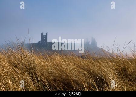 Looking through golden sand dune grasses towards a misty Dunstanburgh Castle, Northumberland Coast Path, England Stock Photo