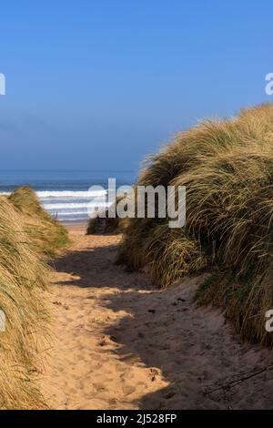 Through the sand dunes to the North Sea on the Northumberland Coast, England Stock Photo