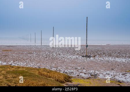 Guide posts marking the path from Holy Island to the mainland just before high-tide, Northumberland, England Stock Photo