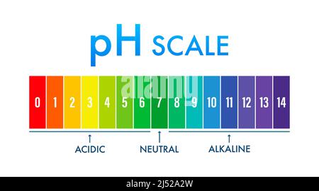 pH value scale meter. pH analysis chemical scale value test. Vector stock illustration. Stock Vector