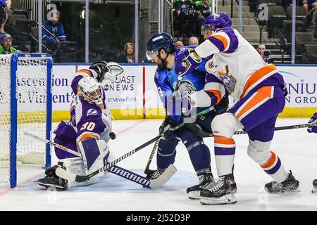 Luke Boka Re-Signs With Solar Bears