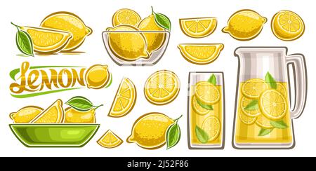 Vector Lemon Set, lot collection of cut out illustrations fruit still life compositions with green leaves, group of variety sliced lemons, transparent Stock Vector