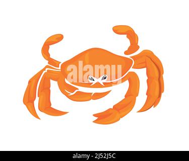 Detailed Bright Crab Illustration Vector Stock Vector