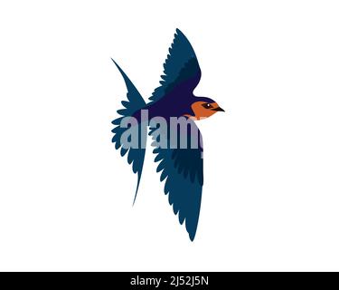 Detailed Flying Swallow Bird Illustration Vector Stock Vector