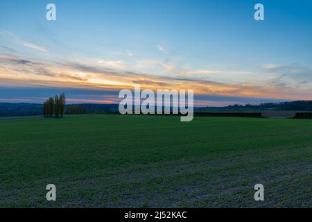 A spring landscape with rolling hills in the south of Limburg during a spectacular sunset with a row of poplar trees, creating the Italian feeling Stock Photo