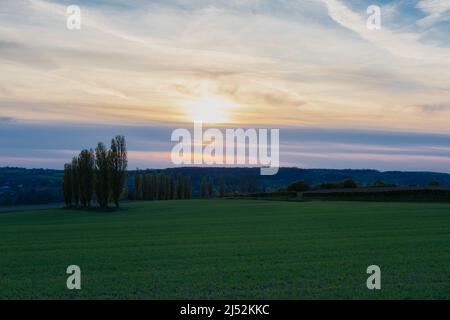 A spring landscape with rolling hills in the south of Limburg during a spectacular sunset with a row of poplar trees, creating the Italian feeling Stock Photo