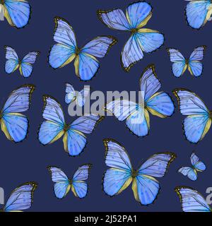 seamless pattern of colored butterflies isolated on white background Stock Photo