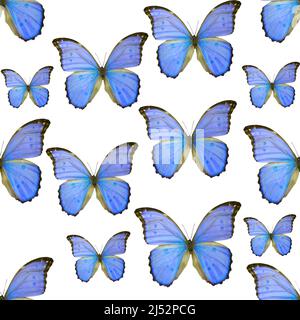 seamless pattern of colored butterflies isolated on white background Stock Photo