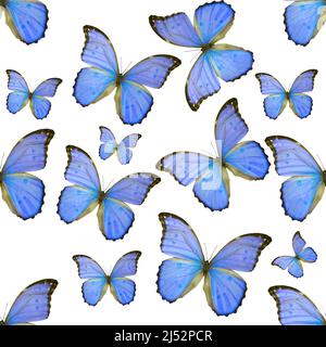 seamless pattern of colored butterflies isolated on white background Stock Photo