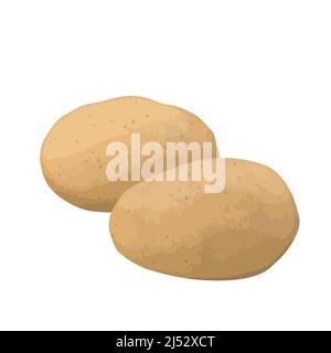 Realistic yellow potatoes mockup for web design isolated on white background, vector illustration Stock Vector