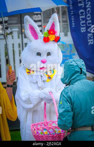 Easter Bunny, gives out chocolate treats from Easter basket, Stock Photo