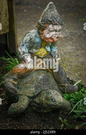 garden gnome riding turtle Stock Photo