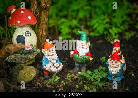 Gnomes and toadstool, garden ornaments Stock Photo
