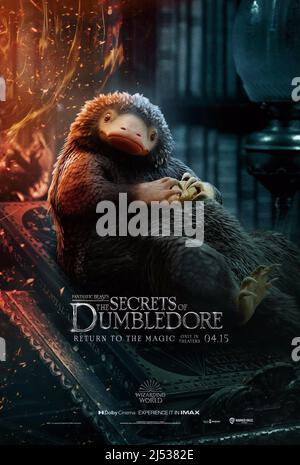 FANTASTIC BEASTS: THE SECRETS OF DUMBLEDORE, Teddy the Niffler, 2022. ©  Warner Bros. / Courtesy Everett Collection Stock Photo - Alamy