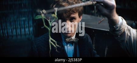 FANTASTIC BEASTS: THE SECRETS OF DUMBLEDORE, character poster, Teddy, 2022.  © Warner Bros. / Courtesy Everett Collection Stock Photo - Alamy