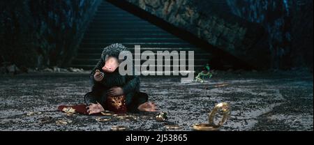 FANTASTIC BEASTS: THE SECRETS OF DUMBLEDORE, character poster, Teddy, 2022.  © Warner Bros. / Courtesy Everett Collection Stock Photo - Alamy