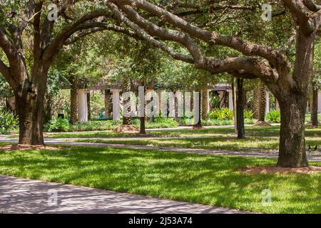 Walkways cross the outdoor garden area at the University of South Florida in Tampa, Florida. Stock Photo