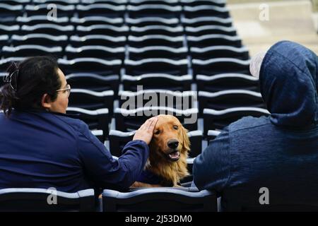 Kansas City, United States. 19th Apr, 2022. Fans and dogs enjoy some  pregame food during Bark at the Park Night before the Minnesota Twins take  on the Kansas City Royals at Kauffman