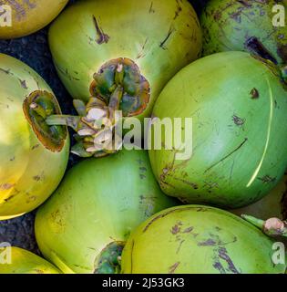 Close up view pile of fresh green coconuts just picked Stock Photo