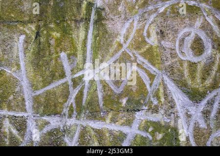 Yellow and green mildew with white markings grunge cement wall texture Stock Photo