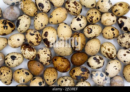Easter composition. Easter background. Easter quail eggs. Quail eggs on gray background. High quality photo Stock Photo