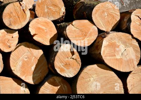 stapled wood Stock Photo