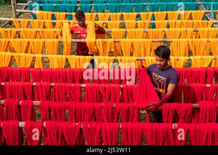 Narayanganj, Dhaka, Bangladesh. 20th Apr, 2022. Workers hang thousands of freshly dyed colorful threads on a wooden structure as they are being dried in the sunshine in Narayanganj, Bangladesh. Thousands of colorful threads create a palette of colors as workers hang them out to dry. The threads take a whole day to dry and stretch for hundreds of meters. Once dried, they are sold to wholesale markets. Each row of threads is priced for Â£2. The workers spend 12 hours in the fields during this process, earning Â£5 per day. (Credit Image: © Joy Saha/ZUMA Press Wire) Stock Photo