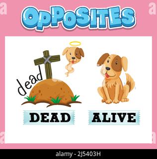 Opposite English words for kids illustration Stock Vector