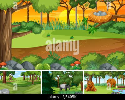 Different forest scenes with wild animals illustration Stock Vector ...